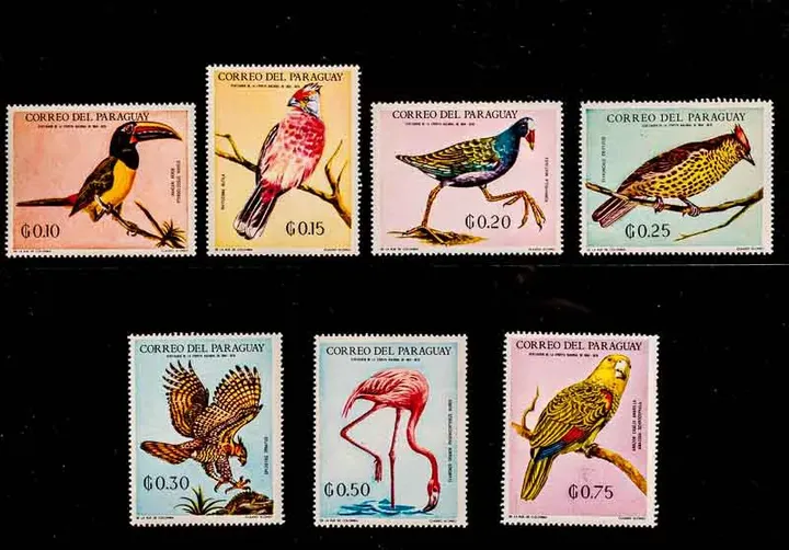Briefmarken Vögel Paraguay 1969 - 7 Stück postfrisch - Bild 2
