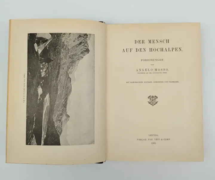 Angelo Mosso, Der Mensch auf den Hochalpen - Verlag von Veit & Comp, 1899 - Bild 1