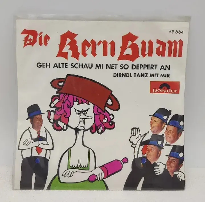 Single langspielplatte - Die Kern Buam - Dirndl tanz mit mir - Bild 1