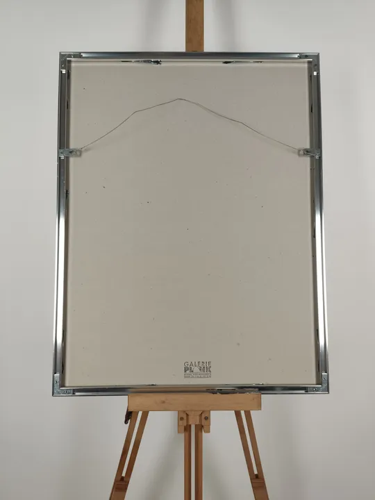 Roman Haller Lithographie signiert - 52,5 cm x 67,5 cm - Bild 5