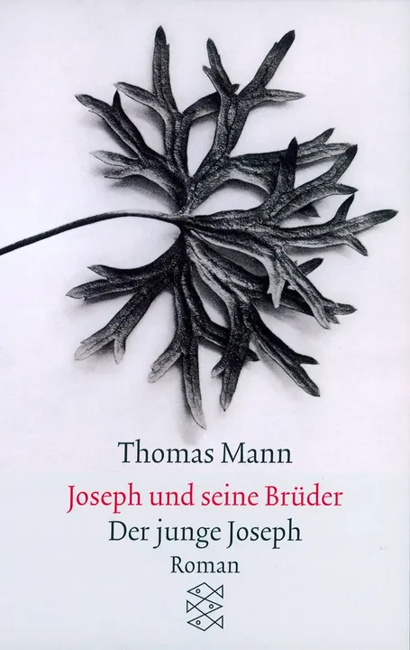 Joseph und seine Brüder II. Der junge Joseph - Thomas Mann - Bild 1