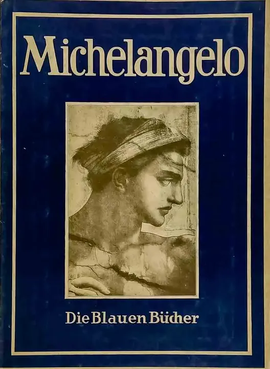 Buch/Bildband Michelangelo 