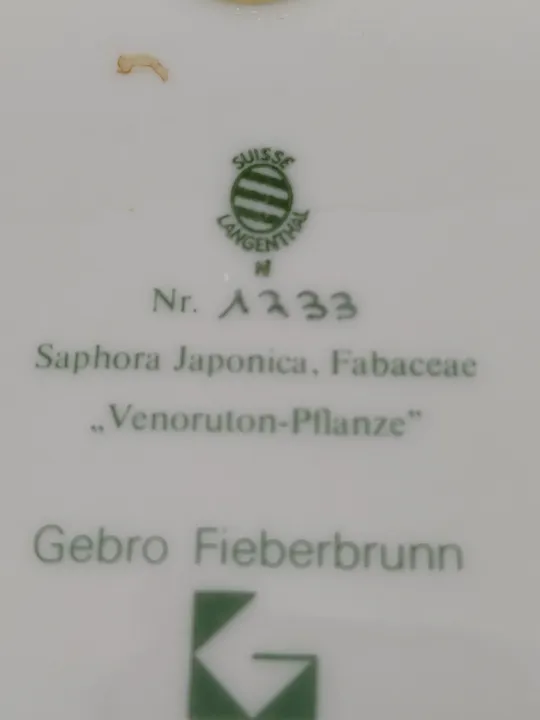 Suisse Langenthal Gebro Fieberbrunn Wandteller Nr. 1233 - Bild 3