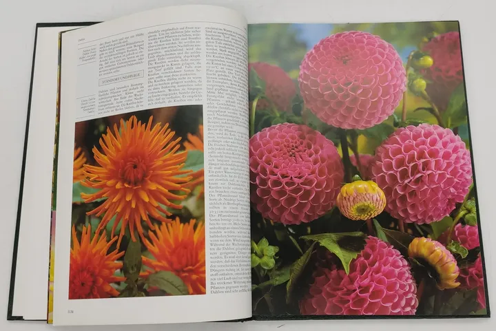 Buch Blumen und Pflanzen in Haus und Garten 3 Bände (ABE,DAH,DIO) von 1989 in Kunstleder - Bild 3