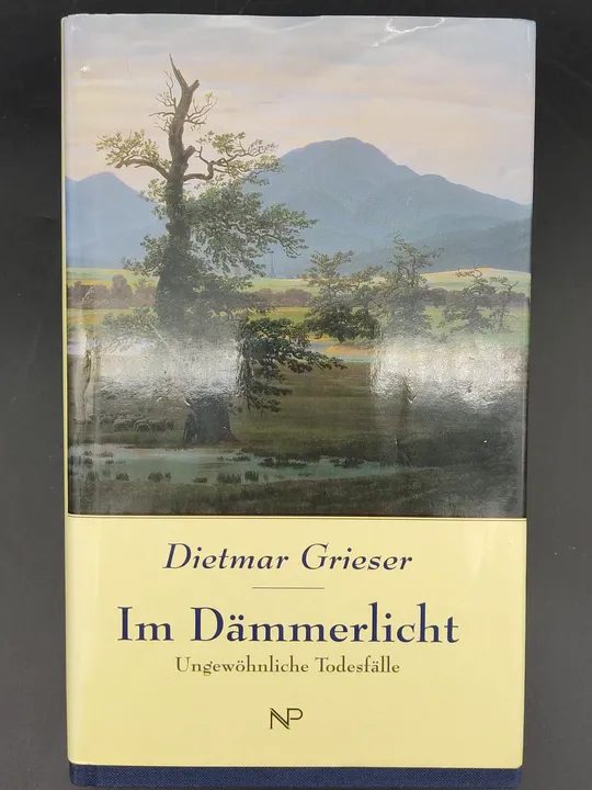 Im Dämmerlicht - Dietmar Grieser - Bild 1