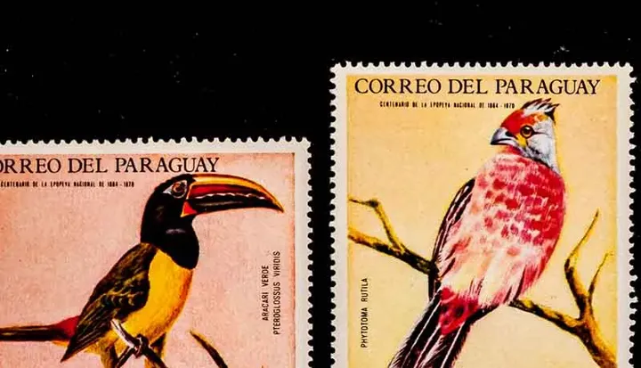 Briefmarken Vögel Paraguay 1969 - 7 Stück postfrisch - Bild 3