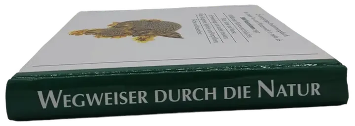 Buch 