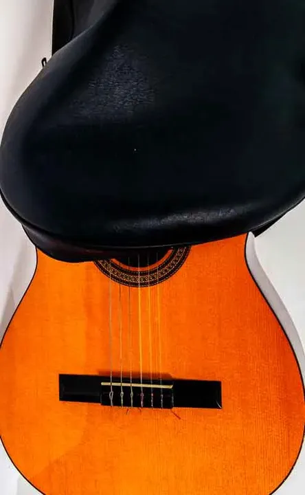 SANCHEZ Gitarre G1 mit Tasche - Bild 4