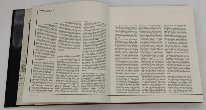 Buch Kunst in Oberösterreich 1 (Salzkammergut, Alm- und Kremstal, Eisenwurzen) von Karl Pömer - Bild 4