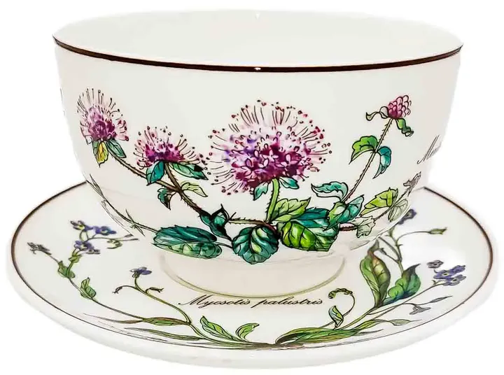 Villeroy & Boch Botanica Müslischale/Suppentasse ∅ ca 11cm mit Teller ∅ ca 15cm - Bild 4