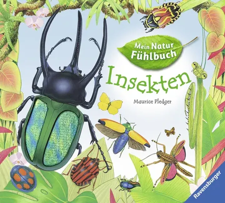 Insekten - Mein Natur Fühlbuch - Angelika Lenz - Bild 1