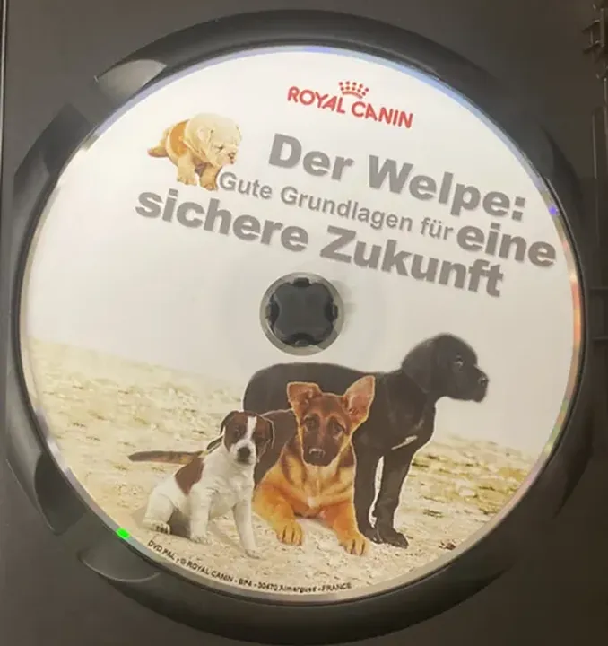 Royal Canin - Der Welpe: Gute Grundlage für eine sichere Zukunft - DVD - Bild 3