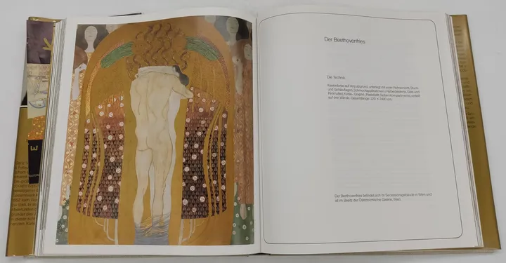 Buch Klimt 