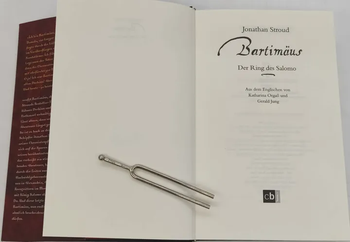 Buch Bartimäus 