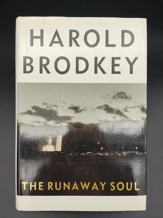 The Runaway Soul - Harold Brodkey - Bild 2