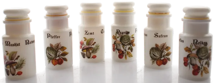Vintage Gewürzglas-Set aus Porzellan (6-teilig) – mit floralen Motiven & Beschriftung - Bild 1
