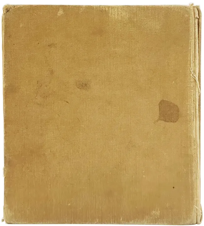 Buch 
