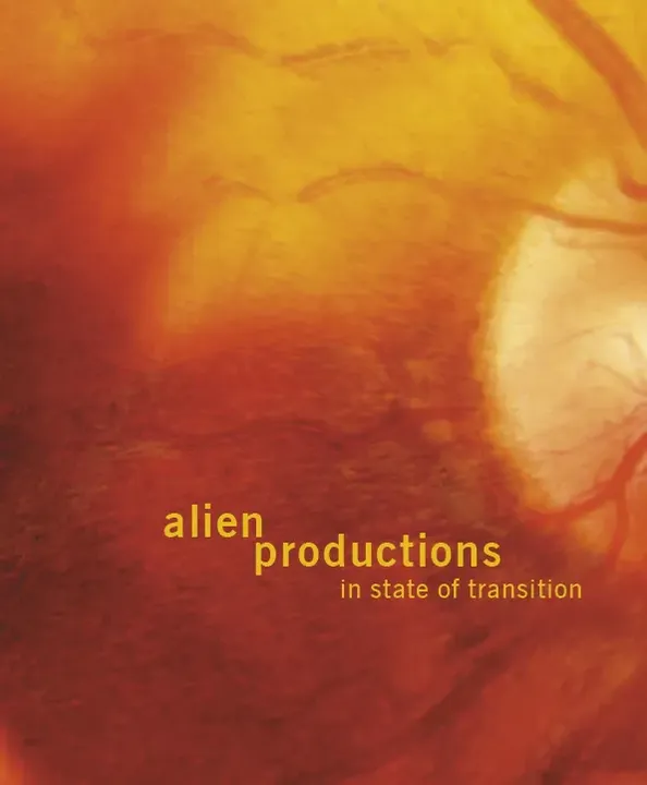 alien productions in state of transition - Werner Fenz, Daniel Gilfillan, José Iges, Marta Smolinska - Bild 1