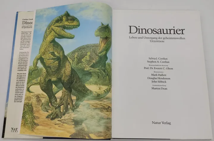 Buch Dinosaurier 