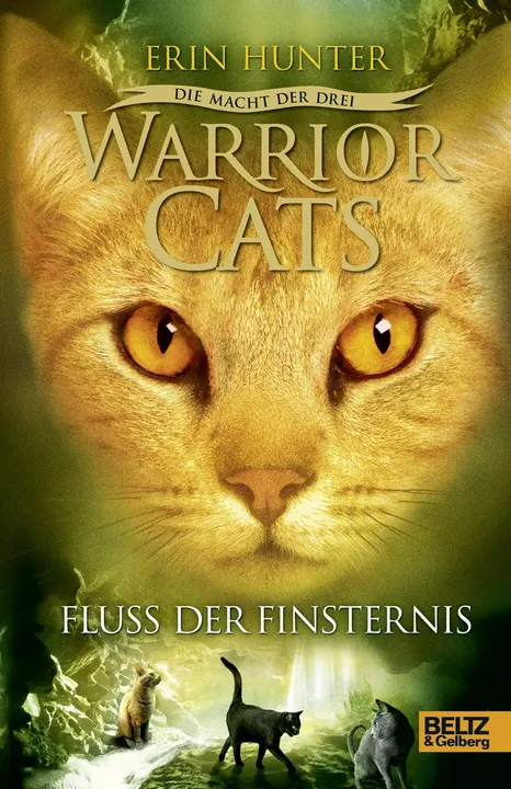 Warrior Cats - Die Macht der drei - Fluss der Finsternis - Bild 1