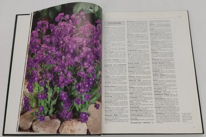 Buch Blumen und Pflanzen in Haus und Garten 3 Bände (ABE,DAH,DIO) von 1989 in Kunstleder - Bild 6