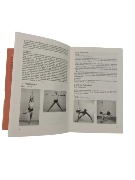 B.K.S. Iyengar - Licht auf Yoga - Das grundlegende Lehrbuch des Hatha-Yoga - Bild 3