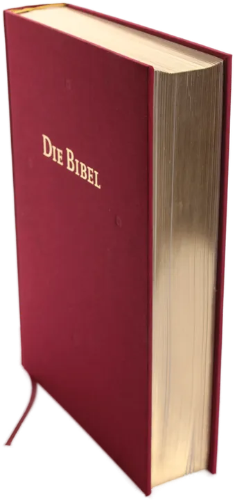 Buch 