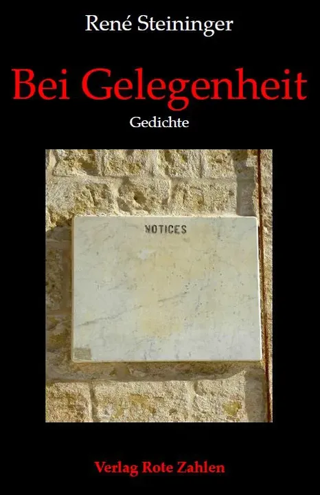 Bei Gelegenheit - René Steininger - Bild 1