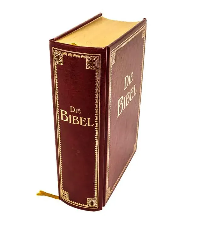 Goldrandbibel mit 223 Abbildungen von Julius Schnorr von Carolsfeld Fassung von 1912 - Bild 2