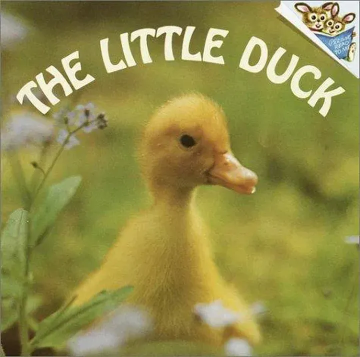 The Little Duck - Judy Dunn - Bild 2