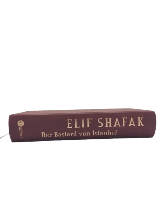 Buch Elif Shafak 