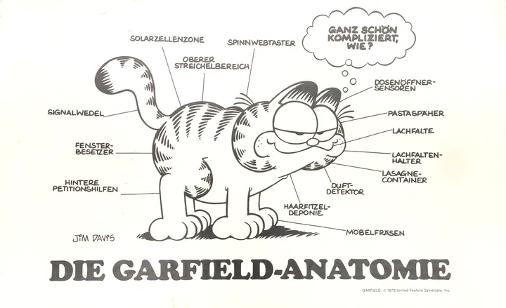 Garfield's Lieblingsspiel - Gesellschaftsspiel, F. X. Schmid  - Bild 2
