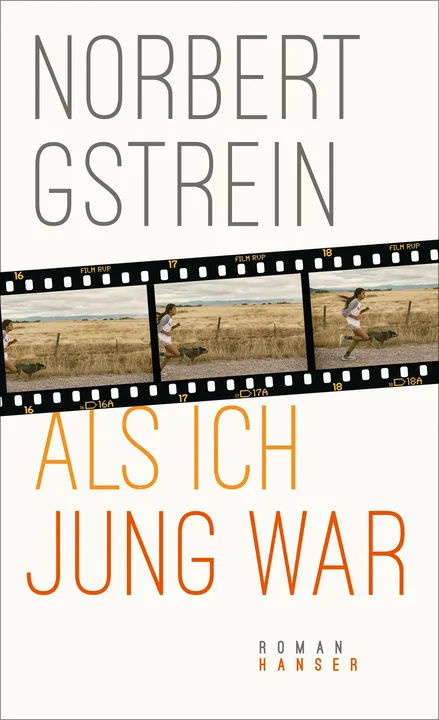 Als ich jung war - Norbert Gstrein - Bild 1