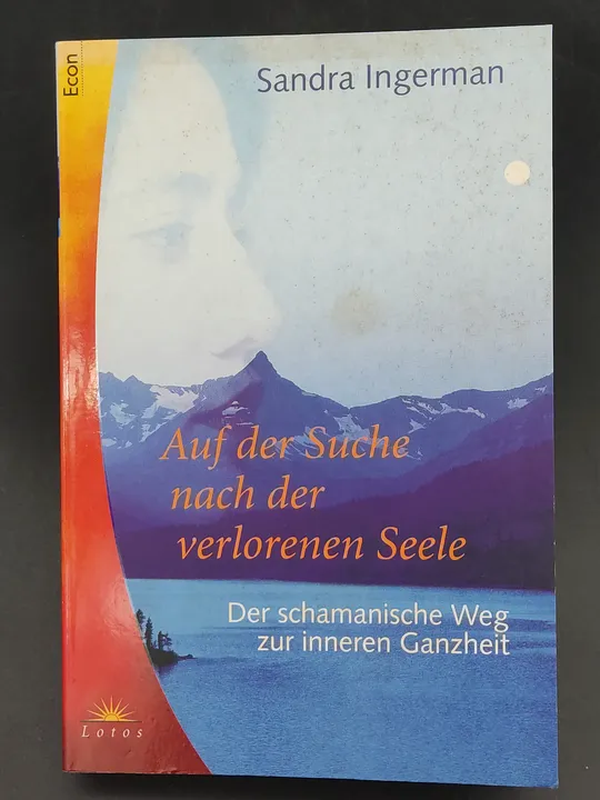 Auf der Suche nach der verlorenen Seele - Sandra Ingerman - Bild 1