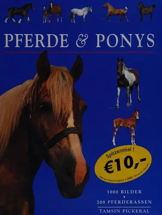 Pferde & Ponys - Tam Pickeral - Bild 1