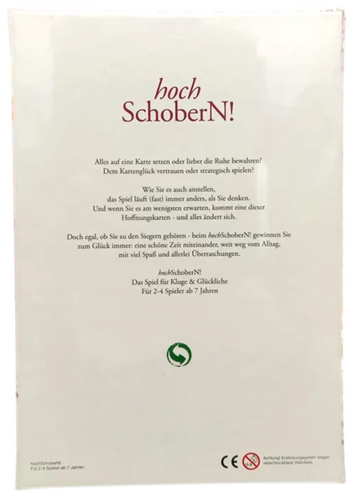 hochSchoberN! Spiel - Bild 2