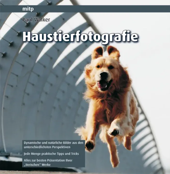 Haustierfotografie - Paul Walker - Bild 1