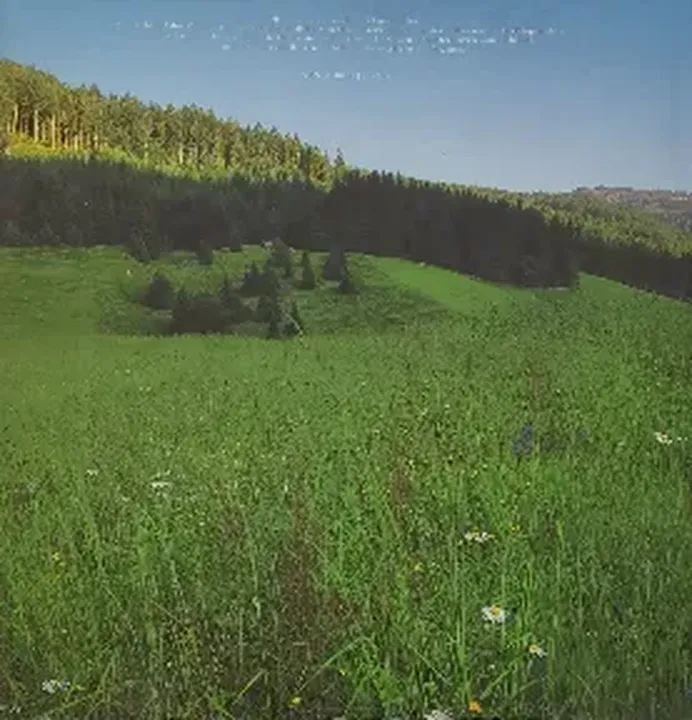 Oberösterreich – Ein faszinierender Blick auf die Region von Ernst Hausner, 205 Seiten, Sehr gut erhalten - Bild 2