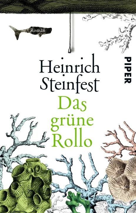 Das grüne Rollo - Heinrich Steinfest - Bild 1