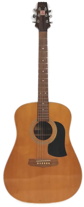 Aria AW600 Akustikgitarre - Bild 2