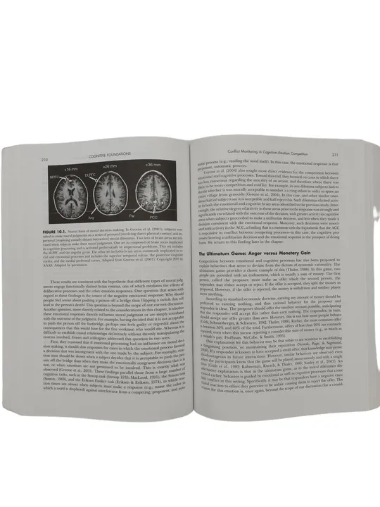 James J. Gross - Handbook of Emotion Regulation - Bild 3