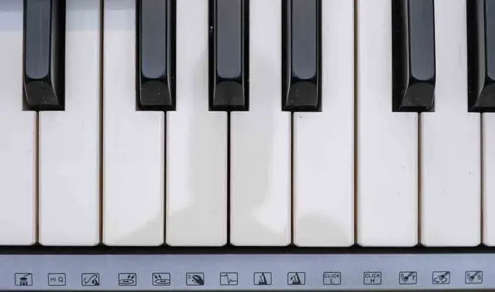 Yamaha Digital Keyboard Portable Grand DGX-640 mit Ständer - Bild 13