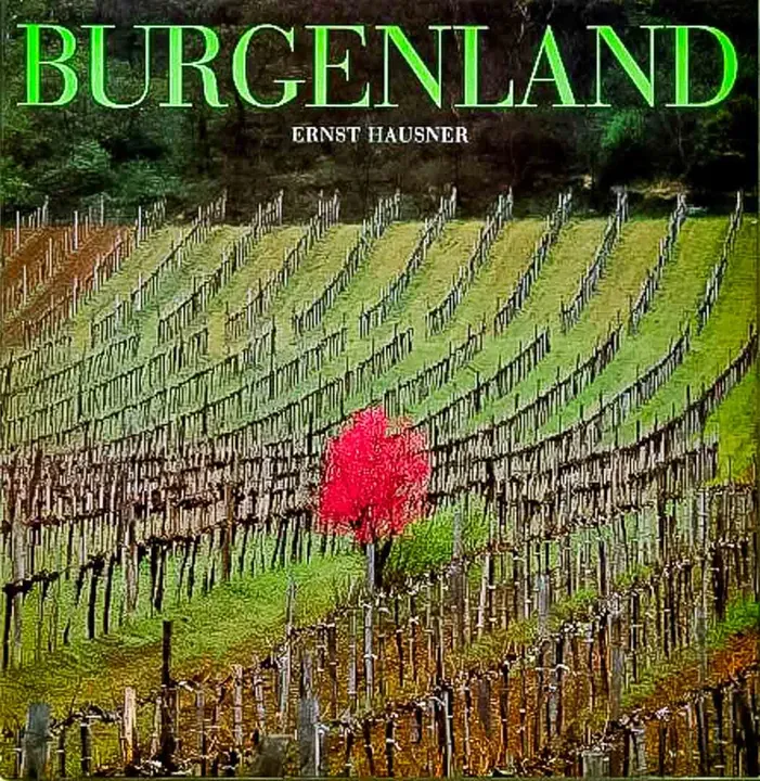 Buch Bildband Burgenland von Ernst Hausner im Holzschuber - Bild 2