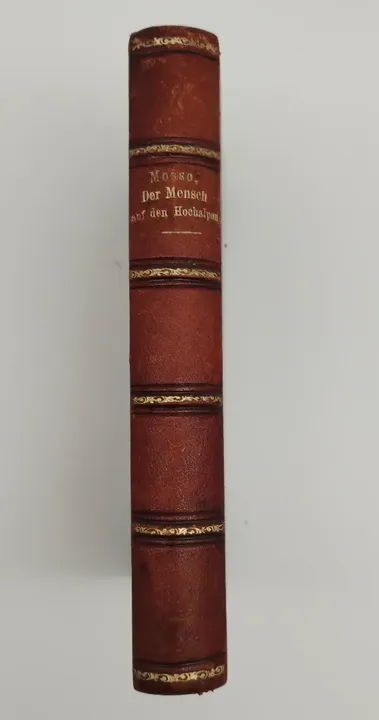 Angelo Mosso, Der Mensch auf den Hochalpen - Verlag von Veit & Comp, 1899 - Bild 3