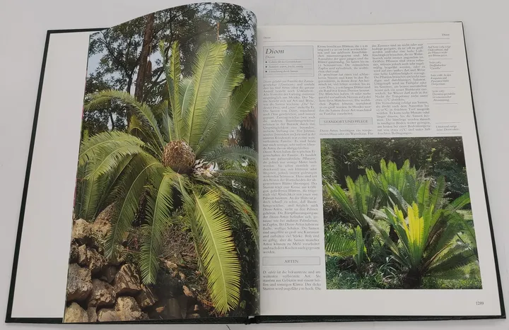 Buch Blumen und Pflanzen in Haus und Garten 3 Bände (ABE,DAH,DIO) von 1989 in Kunstleder - Bild 8