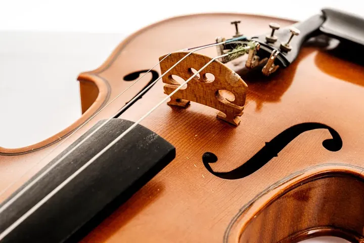 Geige im Koffer - Qualitätsinstrument mit leichten Schönheitsfehlern - Bild 5