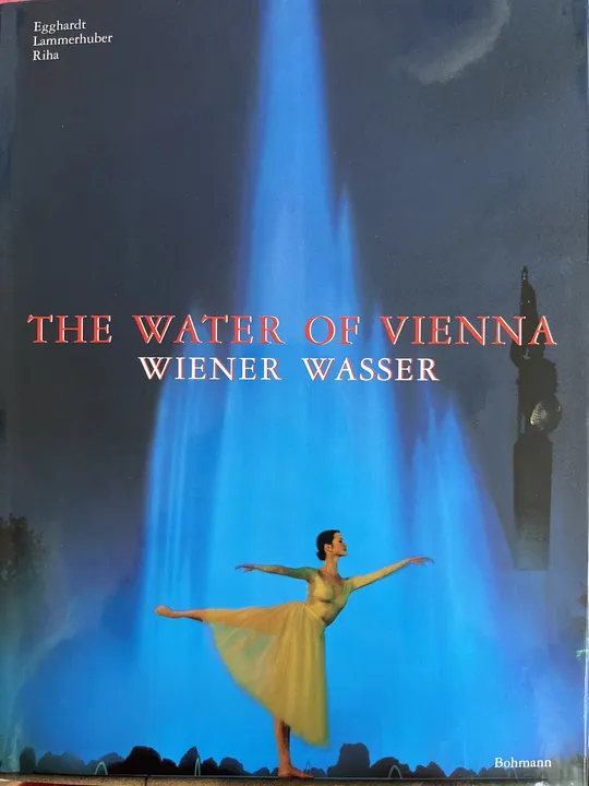 The Water of Vienna - Hanne Egghardt: Ein fesselnder literarischer Ausflug - Bild 1