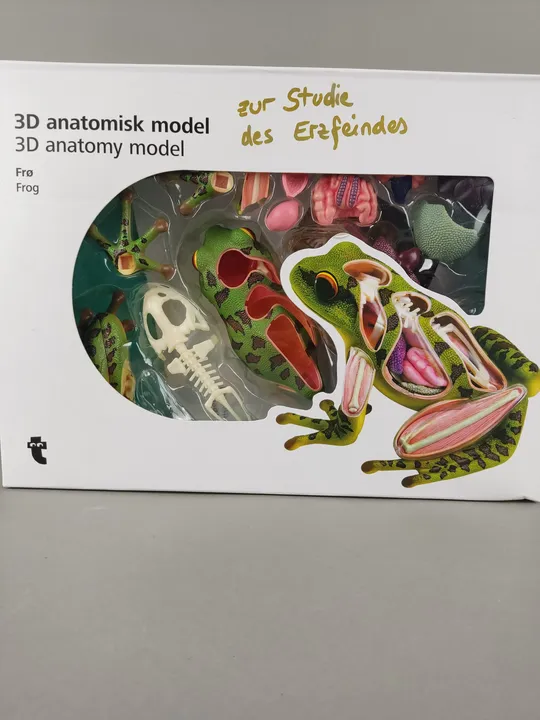 3D Anatomie-Modell - Frosch  - Bild 3