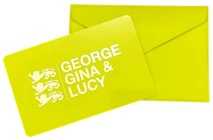 George Gina & Lucy Damen Handtasche mit Echtheitszertifikat  - Bild 4