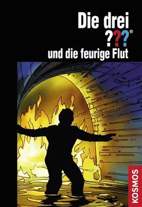 Die drei ??? und die Feurige Flut - Kari Erlhoff - Bild 1